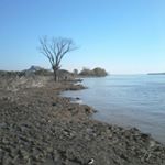 Profile Picture of fernando tiseira (@fernandotise) on Instagram