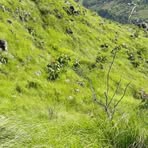 Profile Picture of Albert Mross (@albert.mross.1) on Facebook