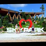 Profile Picture of suzanne_pughgv (@suzanne_pughgv) on Instagram