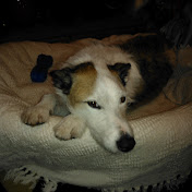 Profile Picture of Mark Eastham (@marksdad) on Youtube