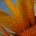 Profile Picture of Stefanie Clay (@stefijoclay) on Pinterest