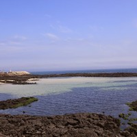 Profile Picture of Derek Dong Won Shin (@derek-dong-won-shin) on Quora