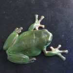 Profile Picture of mark_fuller (@mark_fuller) on Instagram