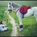 Profile Picture of Amal Hegazi (@amal.hegazi.3) on Facebook