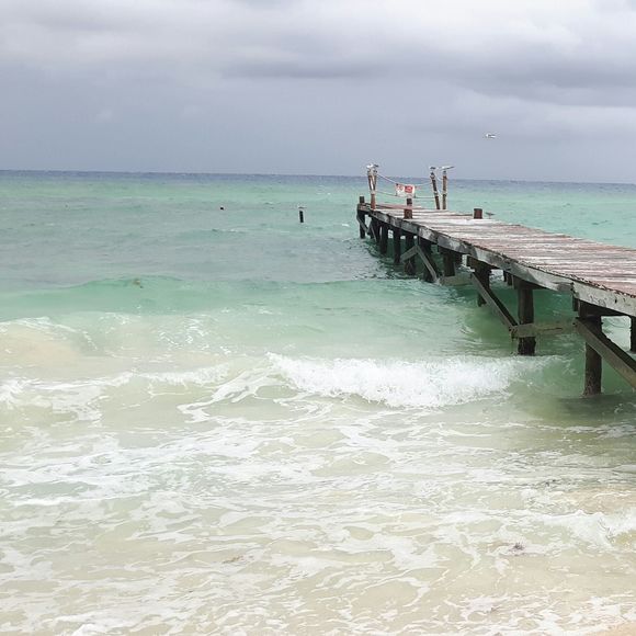 Oum ayoub Ennor - Poshmark Profile Picture of Oum ayoub Ennor (@floraenno) on Poshmark