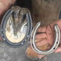 Profile Picture of Richard Bumpus, Cjf (@richard-bumpus-cjf) on Quora