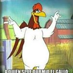 Profile Picture of jorge huitron (@gratosell1) on Instagram