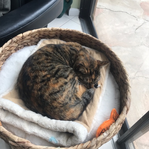 Profile Picture of Christine Fris (@ctfris) on Poshmark