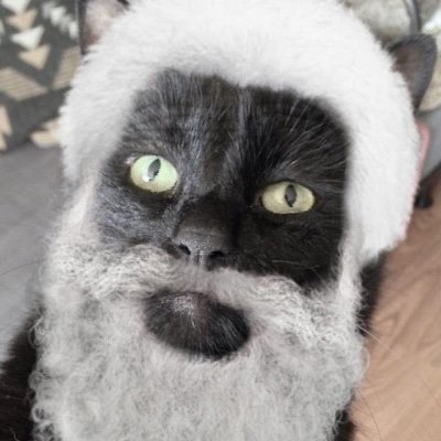 Profile Picture of Andre Theroux (@theroux_andre) on Twitter