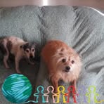 Profile Picture of Robin Carlson (@robin.carlson.710) on Facebook