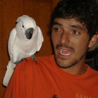 Profile Picture of Daniel V. Sereno (@Villano46) on Twitter