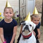 Profile Picture of Andrew Woodward (@andrew.woodward4) on Instagram