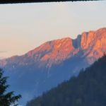 Profile Picture of Bianca Eisele (@hausteufelchen) on Instagram