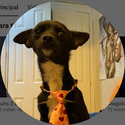 Profile Picture of Daniel Burgos (@danielburgos4014-o4b) on Youtube