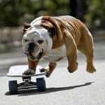 Profile Picture of Joshua Odendaal (@joshua.moz68) on Instagram