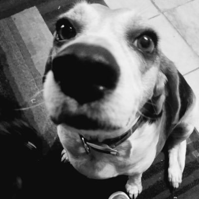 Steven Govea - Twitter Profile Picture of Steven Govea (@StevenGovea4) on Twitter