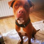 Profile Picture of Eric Bonet Roca (@eric_b213) on Instagram