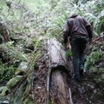 Profile Picture of chris.heiner (@chris.heiner) on Instagram