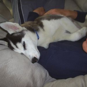 Profile Picture of Tim Lundquist (@timsmx3) on Myspace