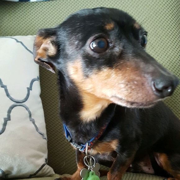 Christina Ottolini - Poshmark Profile Picture of Christina Ottolini (@cvkotto) on Poshmark