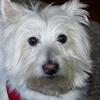 Profile Picture of Sharon Chadwick (@sharon.chadwick.393) on Facebook