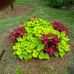 Profile Picture of Stella Wolfe (@stella.wolfe.904) on Facebook