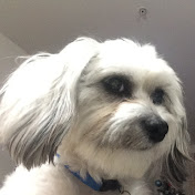 Profile Picture of Myra Rodriguez (@myrarodriguez2875) on Youtube