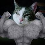 Profile Picture of larry pou Churrasco (@pou_elmusculoso) on Instagram