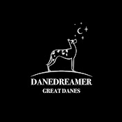 Profile Picture of Kim Crystal Pets  (@dreamcatchercollectiveau3516) on Youtube