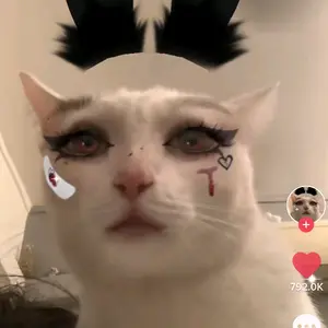 Profile Picture of Niamh (Neem) (@chateaupicard) on Tiktok