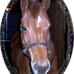 Profile Picture of Christine Coffin (@christine.coffin.94) on Facebook