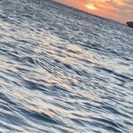 Profile Picture of Eric Rivas (@ericrivasspr) on Instagram