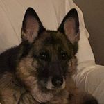 Profile Picture of Chari Gilsinger (@charigilsinger) on Instagram