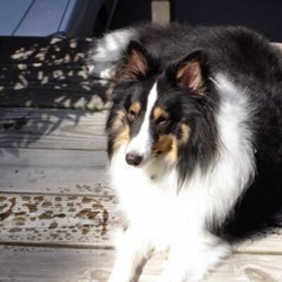 Profile Picture of Jeff Neese (@Hortjeff46) on Twitter