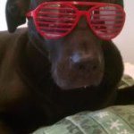 Profile Picture of Michael Romaine (@mikeromaine7) on Instagram