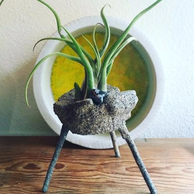 Profile Picture of Heather Johnson (@PennySparkleBag) on Twitter