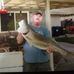 Profile Picture of Brian Freiermuth (@brian.freiermuth.7) on Facebook