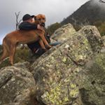 Profile Picture of Shane Purvis (@shane_rox) on Instagram