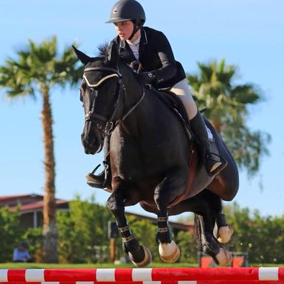 Profile Picture of Chanel Reid (@Reid_Equestrian) on Twitter