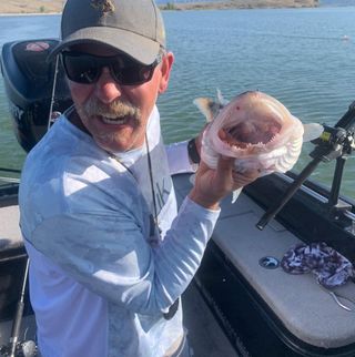 Profile Picture of Bob Hull (@bob.hull.359) on Facebook