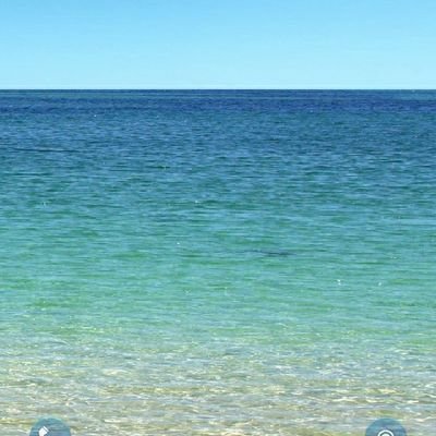 Profile Picture of رافضی (@hNgF1JoHoyEDpTl) on Twitter