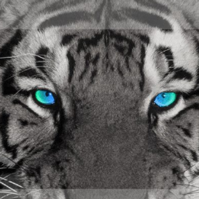 Profile Picture of Carlos Canizales (@ccanizales17) on Twitter