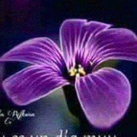 Profile Picture of María Cappa (@CappaPiera) on Twitter