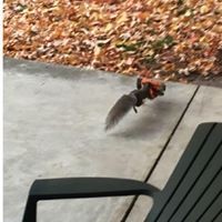 Profile Picture of James Truesdell (@james-truesdell-1) on Quora