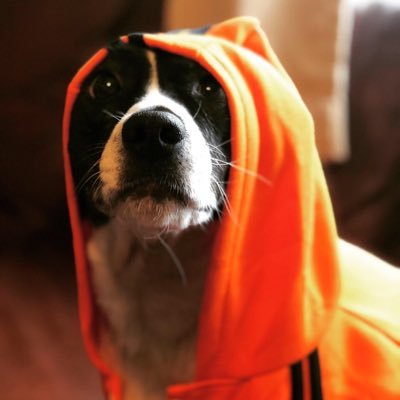 God Dammit - Twitter Profile Picture of God Dammit (@dylanboywonder) on Twitter