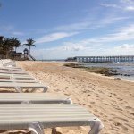 Profile Picture of Barbara Leafblad (@babsleaf) on Instagram