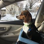Profile Picture of Raquel Cates (@jimmywillybob) on Instagram