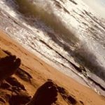 Profile Picture of Michael Nylund (@flywiththenailunds) on Instagram