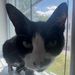 Profile Picture of Ava (@avahinkle) on Pinterest