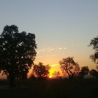 Profile Picture of Jeremy Rohrer (@JeremyRohrer1) on Twitter